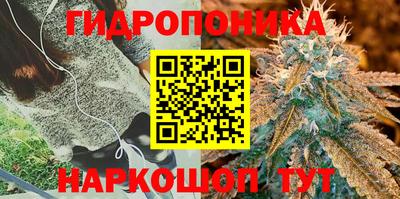 дурь Дмитров