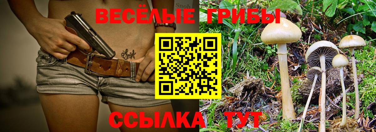 Псилоцибиновые грибы Cubensis  Вход с VPN  Грозный 