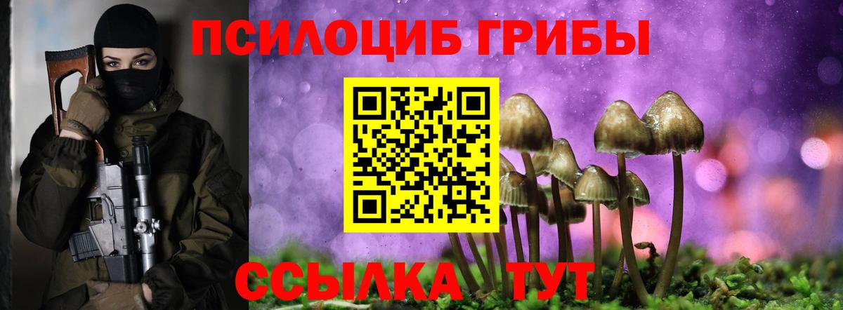 Псилоцибиновые грибы прущие грибы Грозный